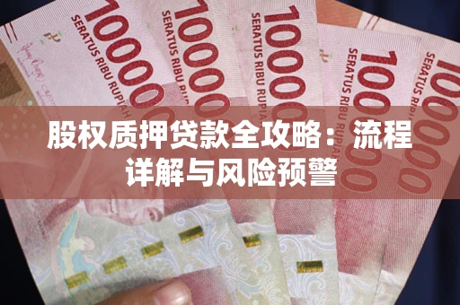 济南股权质押贷款全攻略：流程详解与风险预警