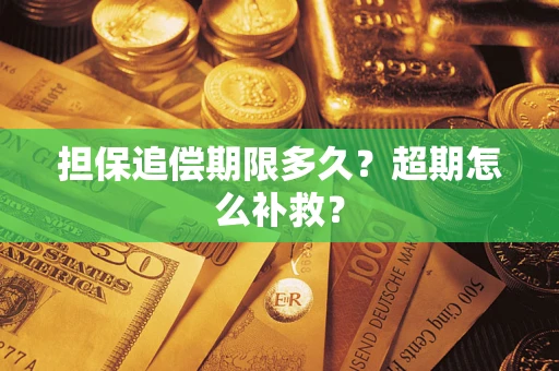 济南担保追偿期限多久？超期怎么补救？