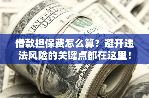 济南借款担保费怎么算？避开违法风险的关键点都在这里！