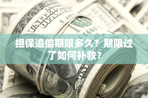济南担保追偿期限多久？期限过了如何补救？