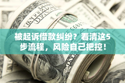 济南被起诉借款纠纷？看清这5步流程，风险自己把控！